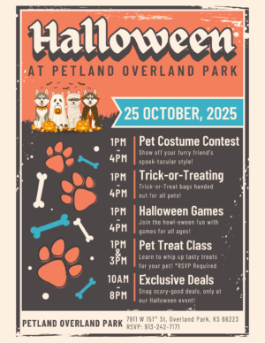 Plop Halloween 2025