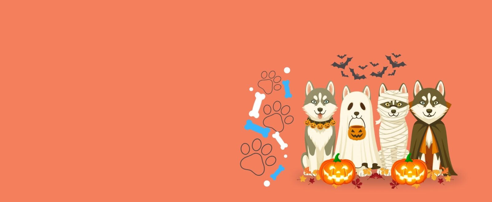 Petland Overland Park, Kansas banner