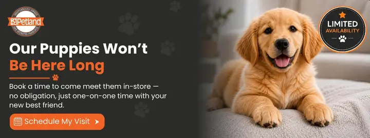 Our Puppies Won't Be Here Long